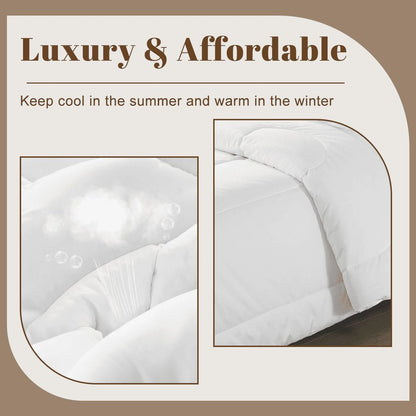 Gothic Bettwäsche schwarze Katze, Twin Comforter Set mit Mond und Symbolkreis